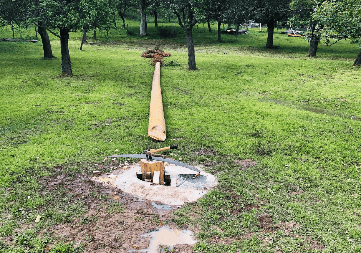 Maibaum Umschnitt in Schrattenbach